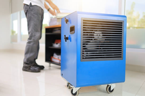 Best Environmental Consulting for Mold Prevention  in Clifton, CO