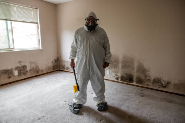 Best Post-Construction Mold Inspection  in Clifton, CO